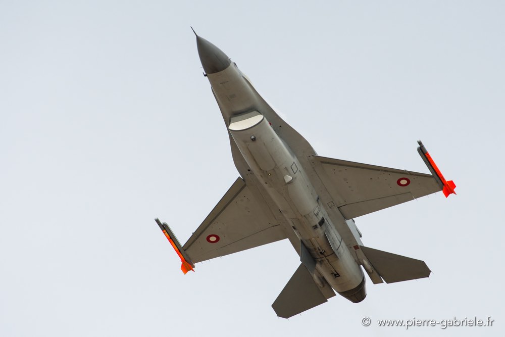 f16-d500_4981.jpg