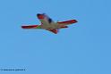 patrouille-espagne-c101_8322