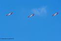 patrouille-espagne-c101_8348