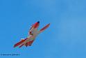 patrouille-espagne-c101_9847