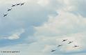 patrouille-italie-mb339_9223