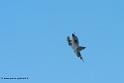 mirage-2000_8256
