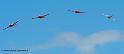 patrouille-belge-sf260_9070