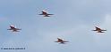 patrouille-suisse-f53_9083
