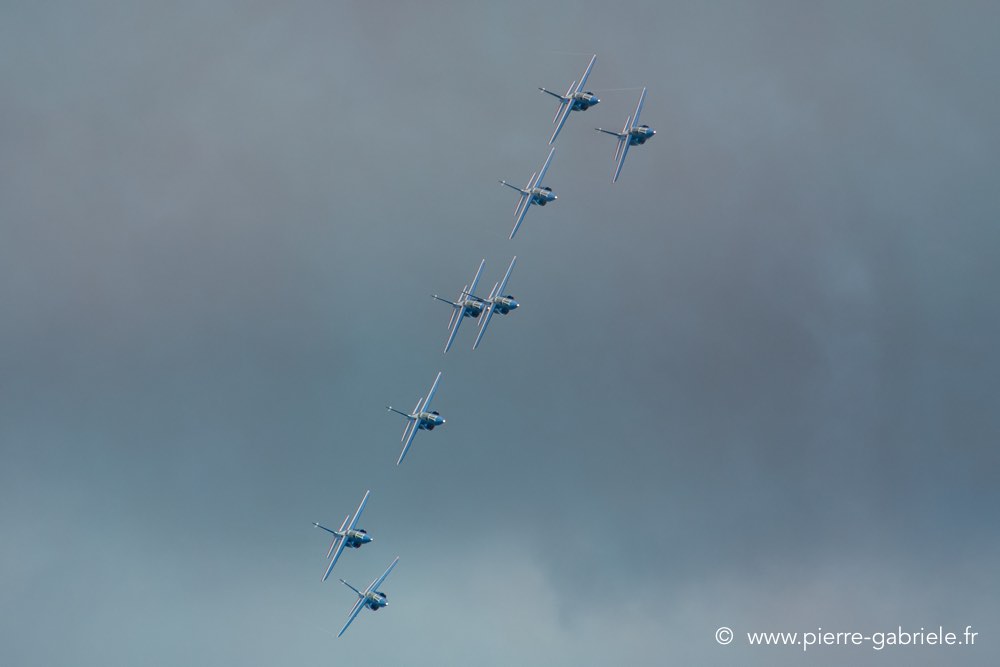 paf-d500_8043.jpg