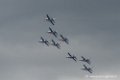 paf-d500_8073