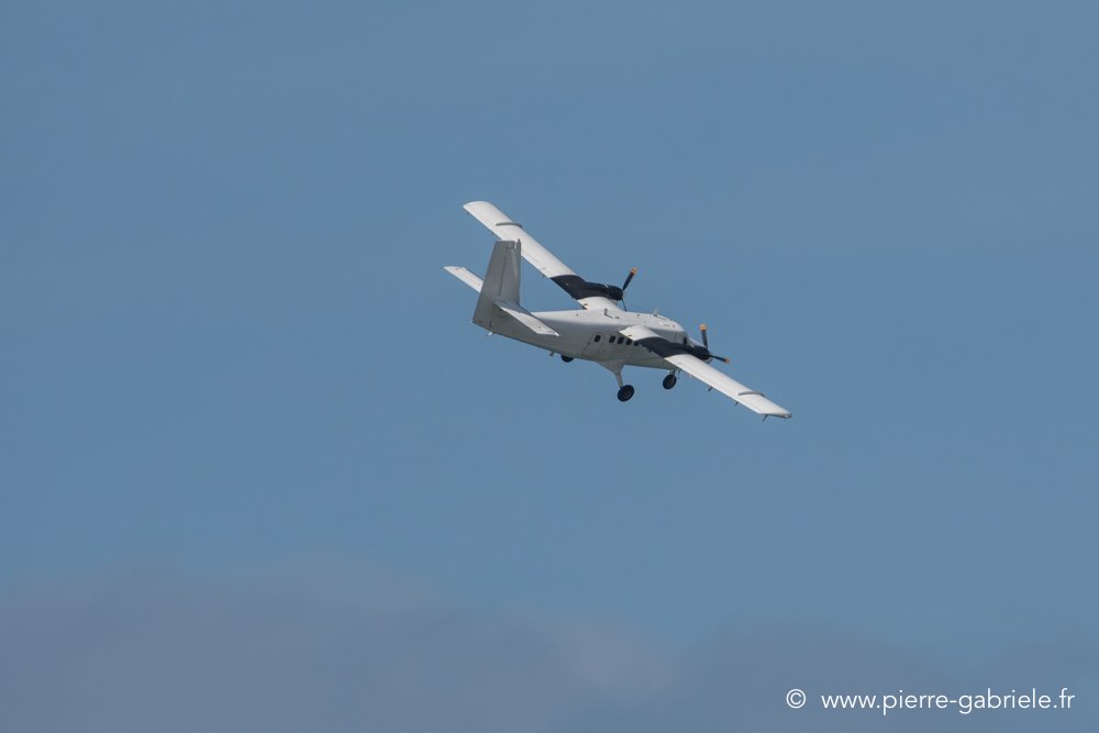paras-d500_8286.jpg