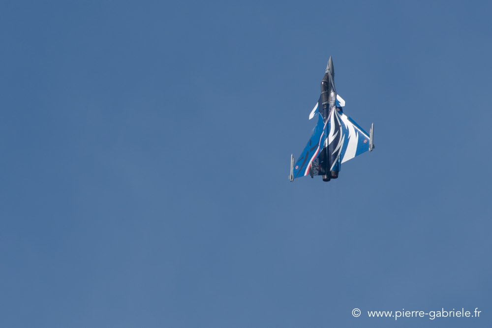 rafale-d500_8368.jpg