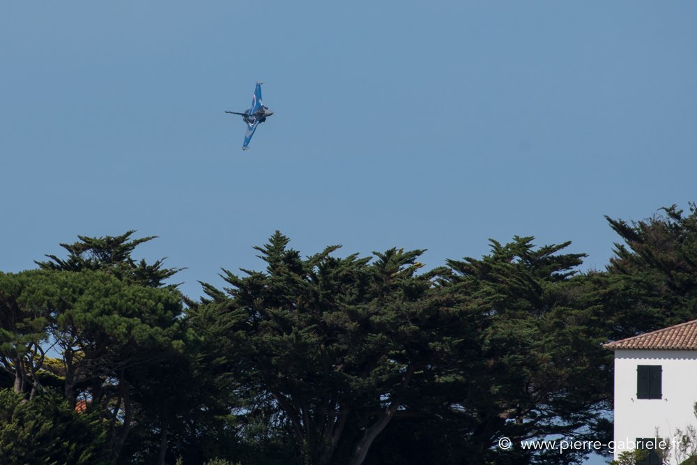 rafale-d500_8381.jpg