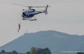 ecureuil-sar-g93_2236