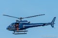 ecureuil-sar-g93_2239