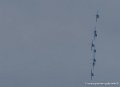 paf-g93_2302