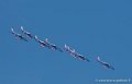 paf-g93_2356