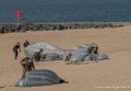 parachutistes-g91_1354