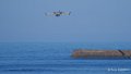 canadair-a74_00524