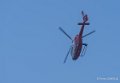 colibri-a74_00588