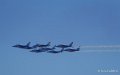 paf-a74_00619