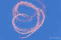 paras-phenix-a74_00475