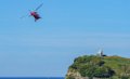 colibri-a74_08233
