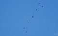 paf-a74_08361