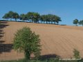 lavergnac-2017-gx8_0502