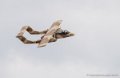 bronco_3732