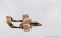 bronco_3734