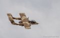 bronco_3735
