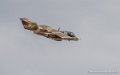 bronco_3736