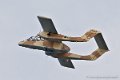 bronco_3740