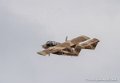 bronco_3741