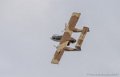 bronco_3742