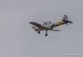 chipmunk_3609