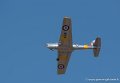 chipmunk_5304