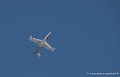 fouga_3066
