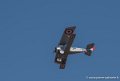 nieuport-17_3149