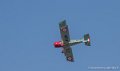 se5a-nieuport17_3150