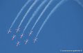 paf_3303