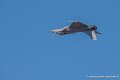 rafale_3479
