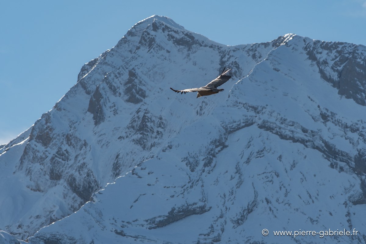 aubisque-d500_0428.jpg