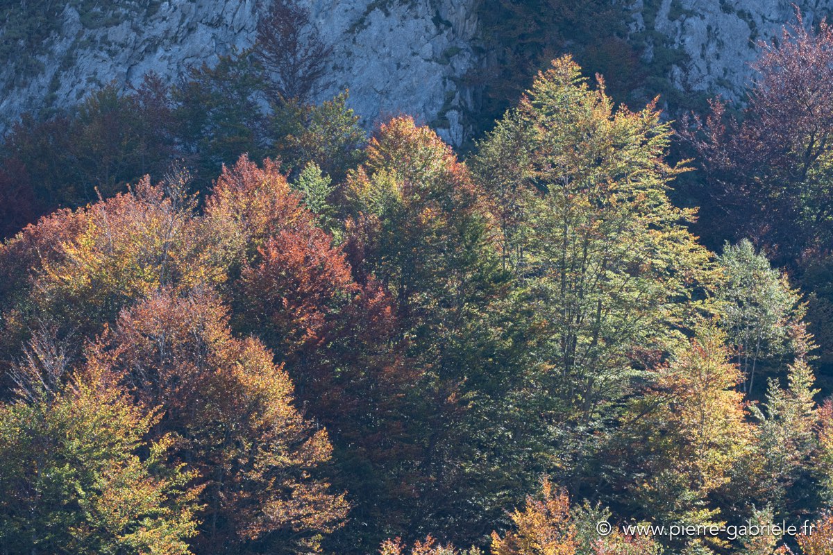 aubisque-soulor-automne-d500_8700.jpg
