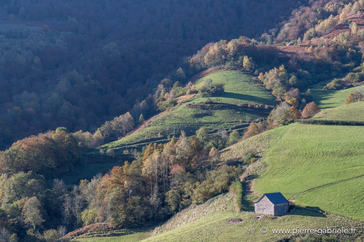 automne-2016-d5_5470.jpg