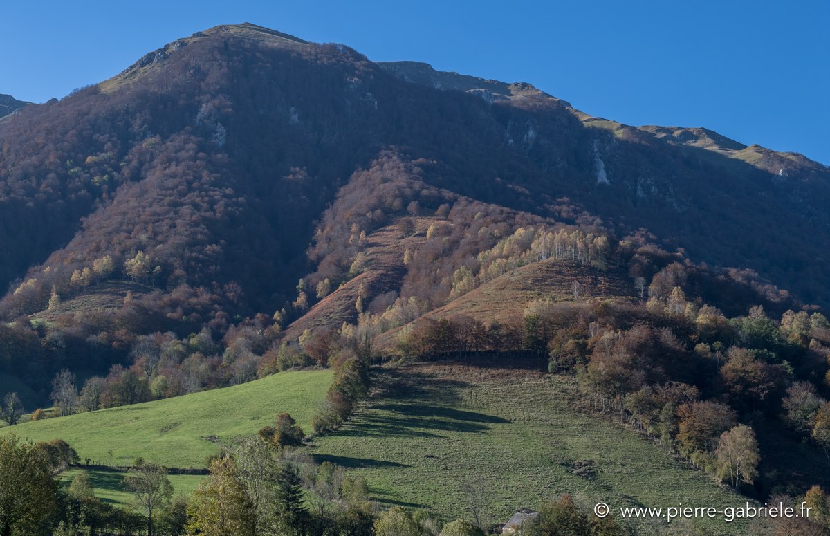 automne-2016-d5_5471.jpg