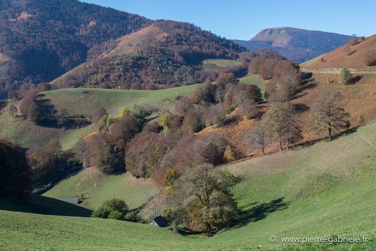 automne-2016-d5_5483.jpg