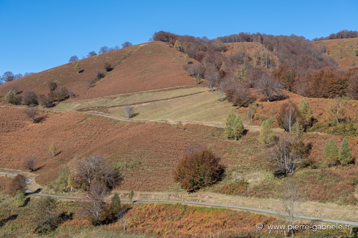 automne-2016-d5_5486.jpg