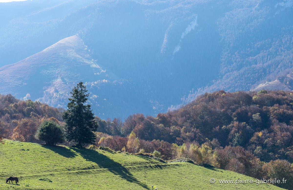 automne-2016-d5_5502.jpg
