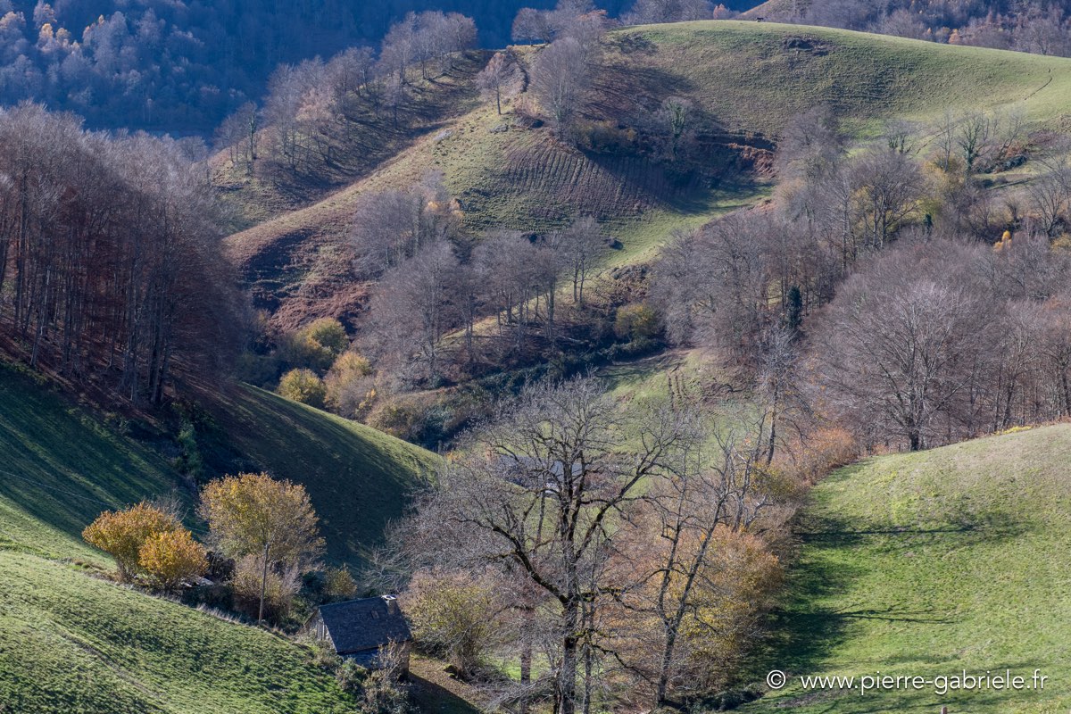 automne-2016-d5_5622.jpg