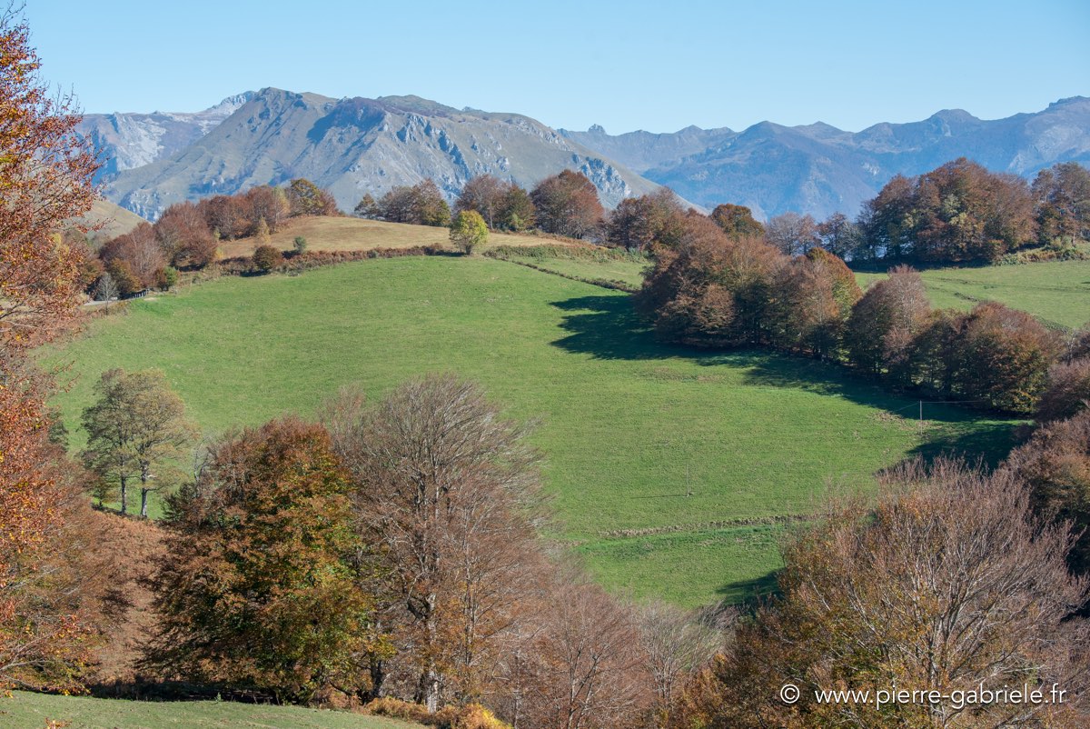 automne-2016-d750_5525.jpg