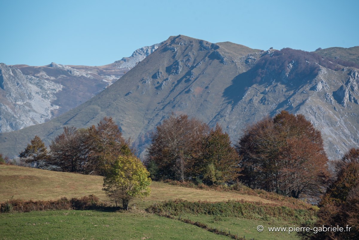 automne-2016-d750_5532.jpg