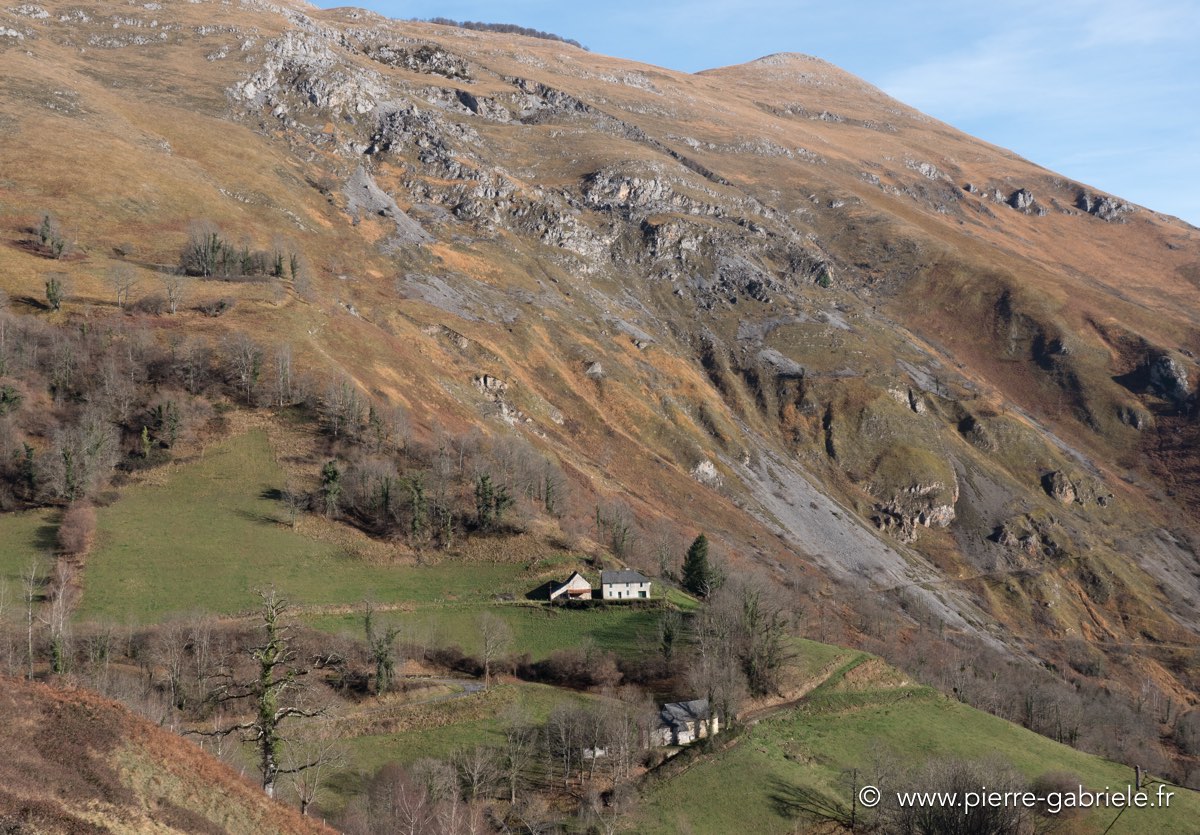 autour-osse-12-2016-gx8_0197.jpg